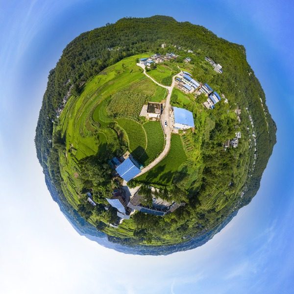 栀子村