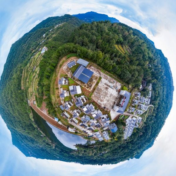 大柏树村