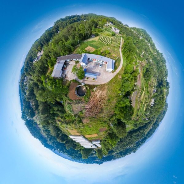 龙泉村