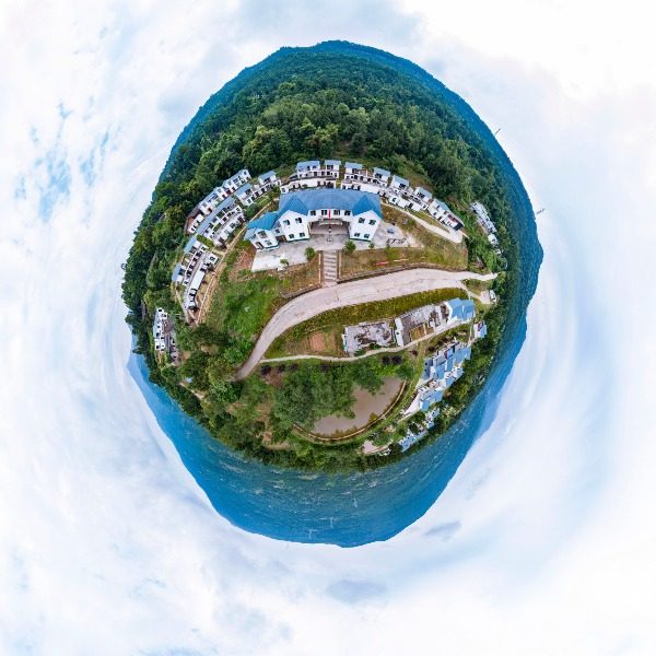 桂花树村