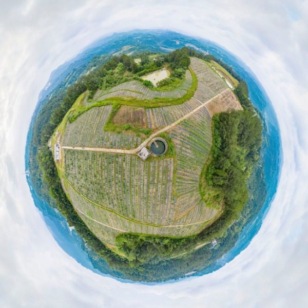白羊坝村