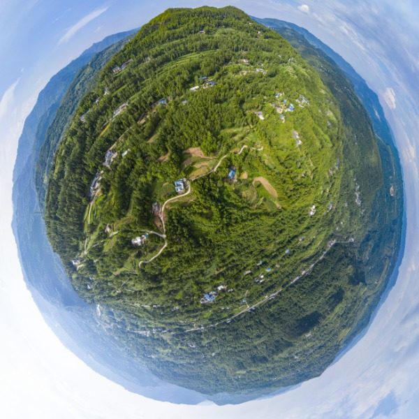 大龙村