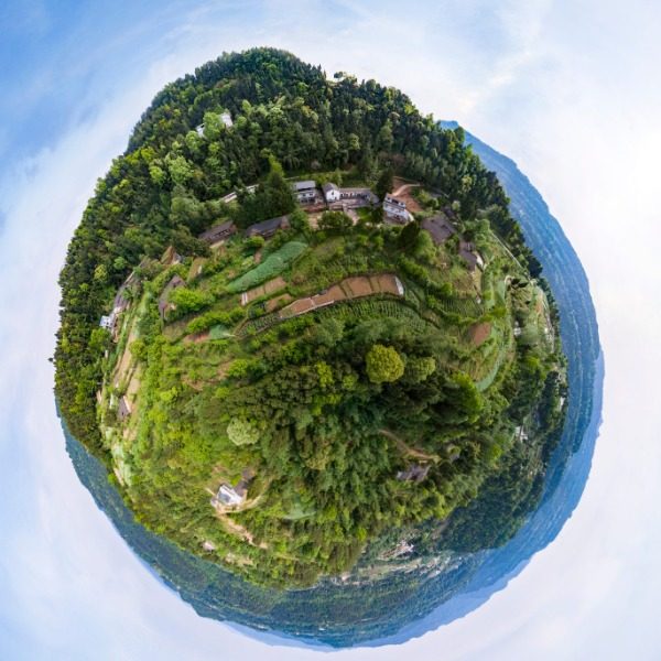 金凤村