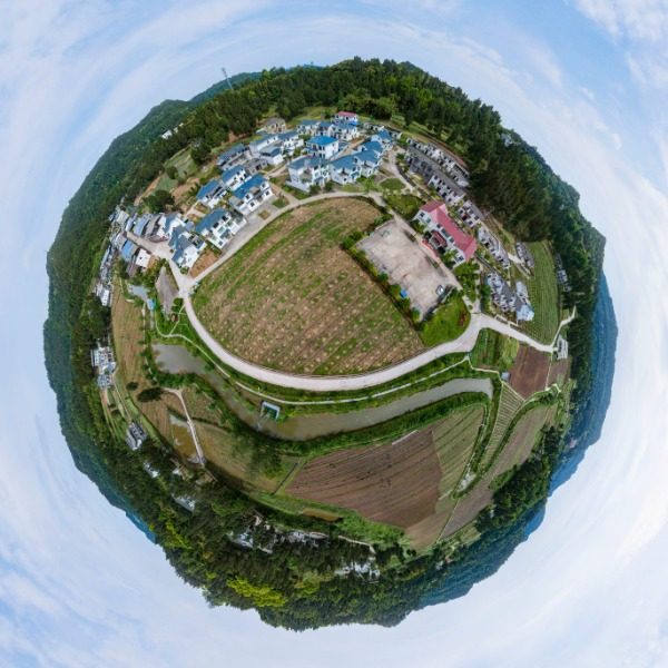 新河社区