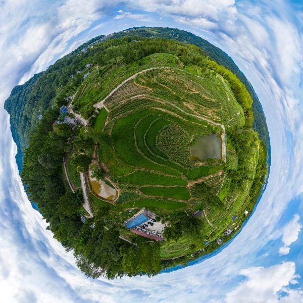 金龙台社区