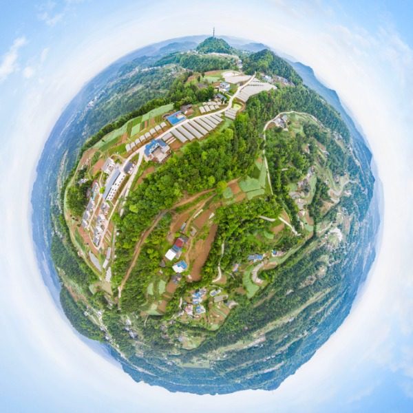 万林村