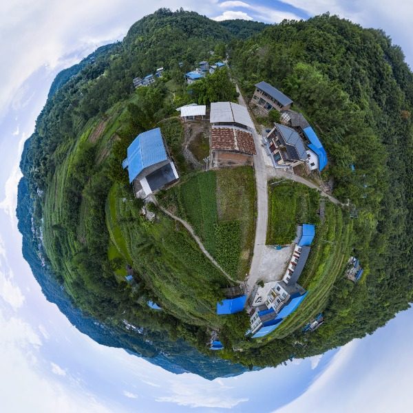 桂花村