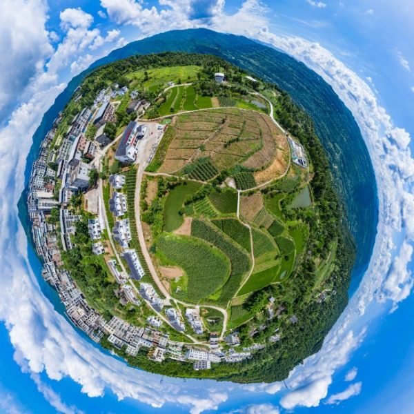 百花村