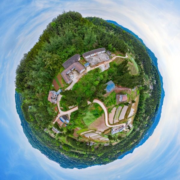 莲花村