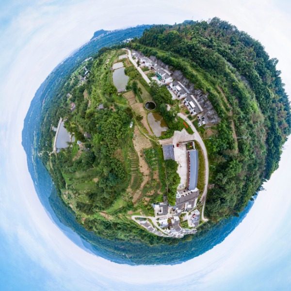 秋桂村