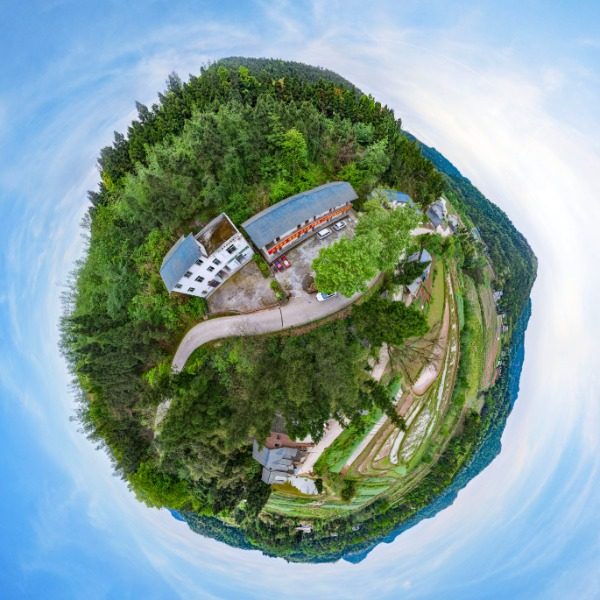 双桥村