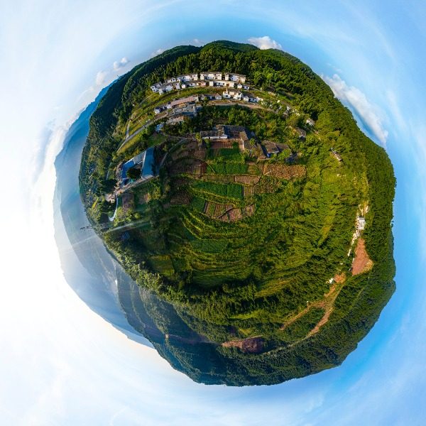 青南村