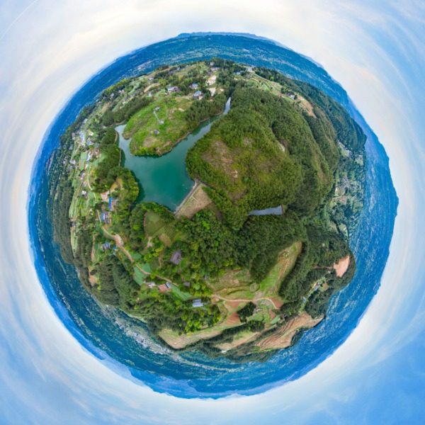 杨通村