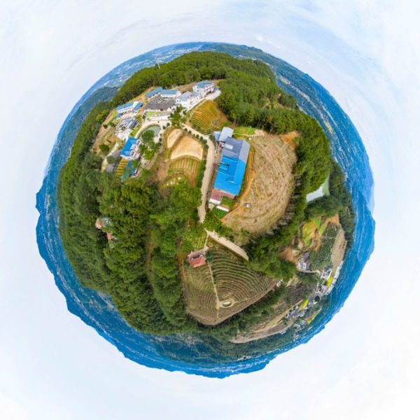 包树梁村