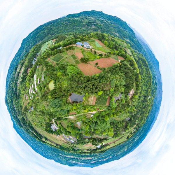 文星村