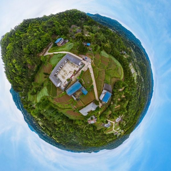 苟金山村