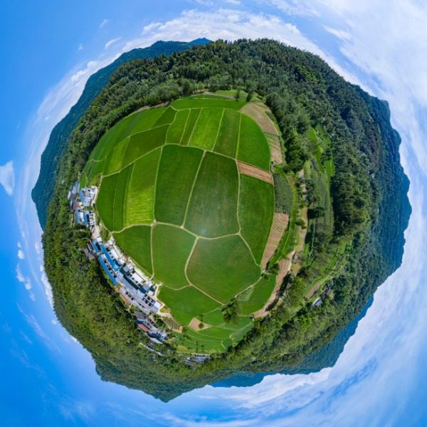 金子村