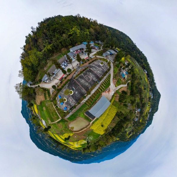 大树坪村
