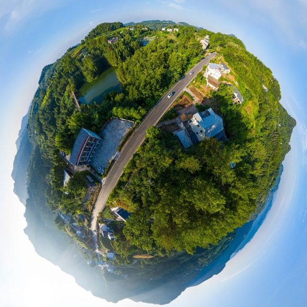柳林村