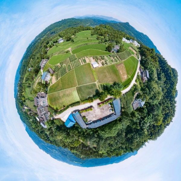 石岭村