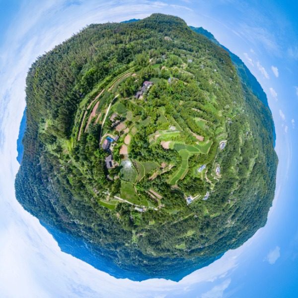 李家村