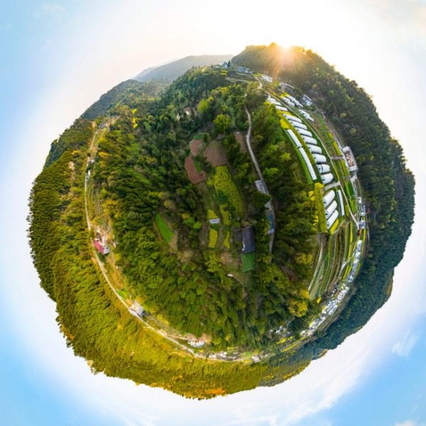 陈家嘴村
