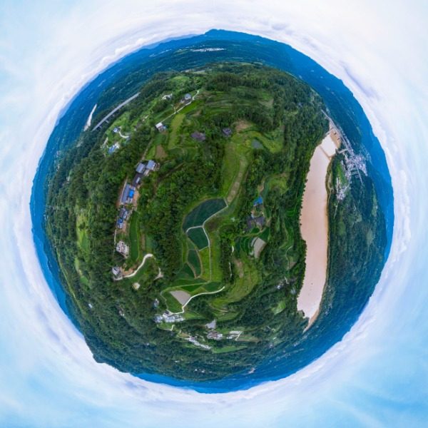 鹦鹉村