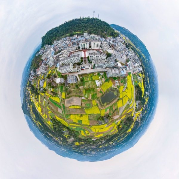 观音井社区