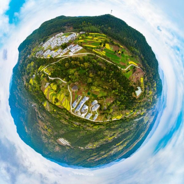 高家坡村