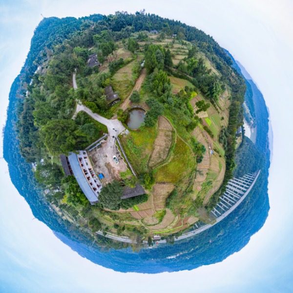 金凤村