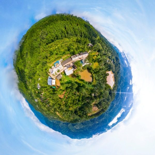 檬子树村