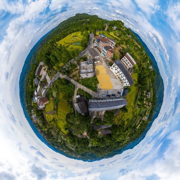 黄柳村