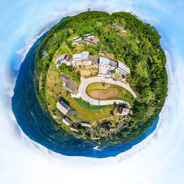 枣林村
