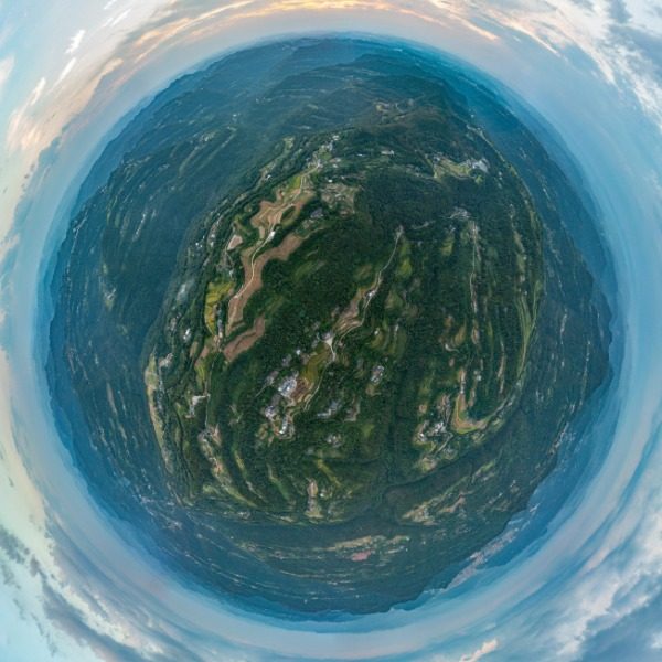 九树村