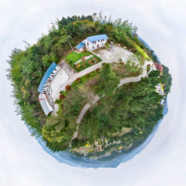 岳王村