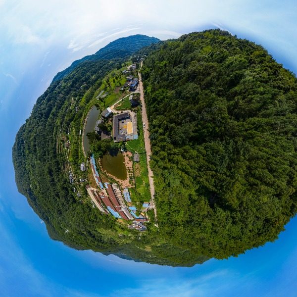 黄桷村