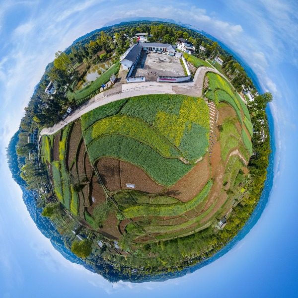 双庙村