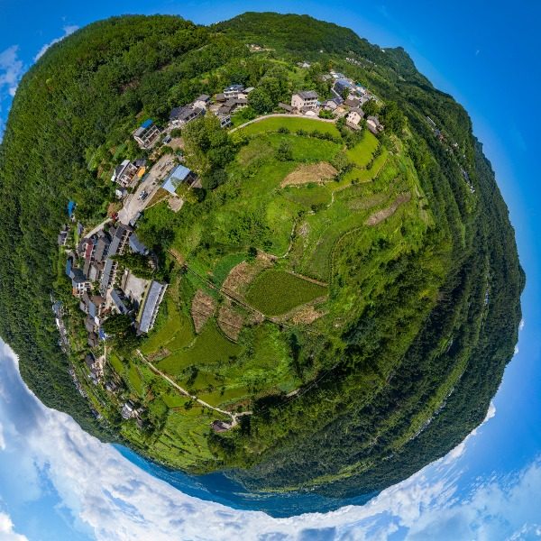 龙井村