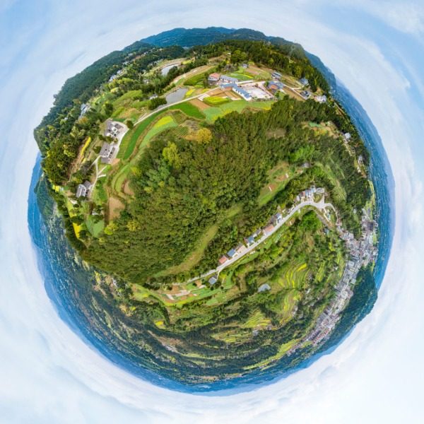 金华村