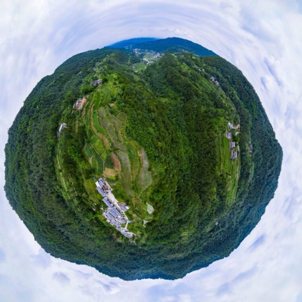 广林村