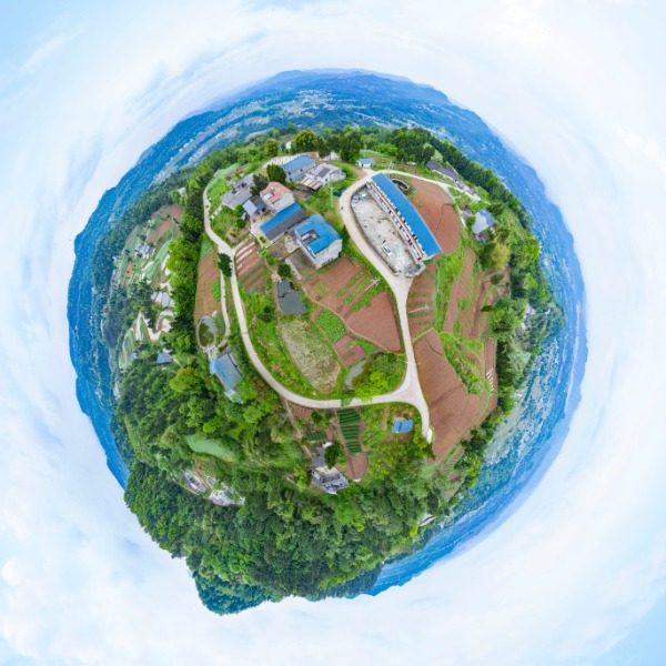 泡木梁村