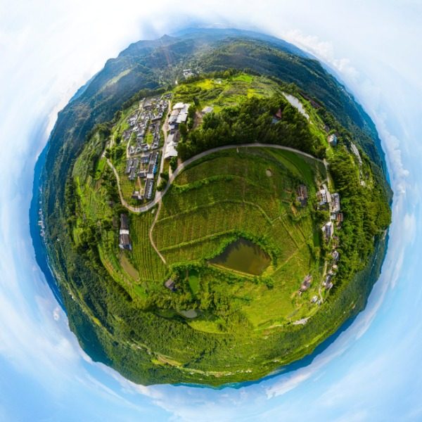大排村