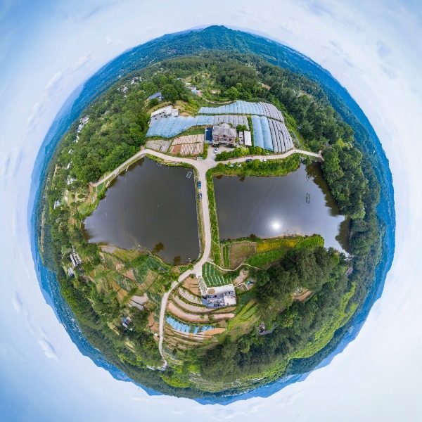 永福村