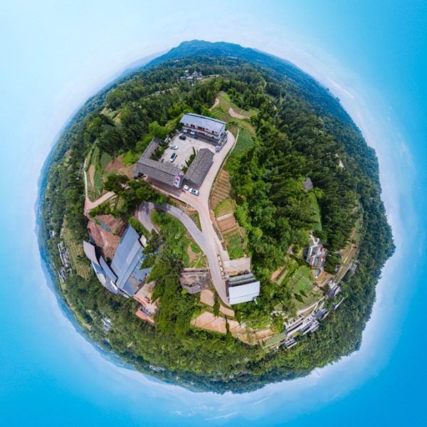 莲花村