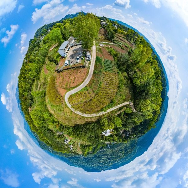 何家坪村